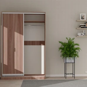 Шкаф-купе арт.431