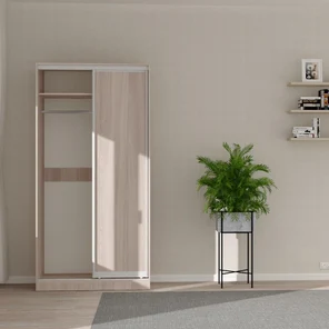 Шкаф-купе арт.983