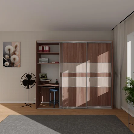 Шкаф-купе арт.299