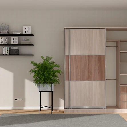 Шкаф-купе арт.972