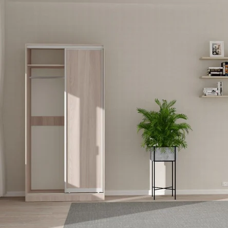 Шкаф-купе арт.983