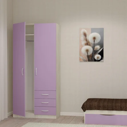 Шкаф распашной арт.424