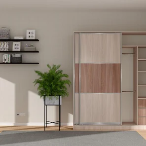 Шкаф-купе арт.972